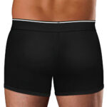 Ingen Cueca Boxer para Fixação de Packer - Imagem 9
